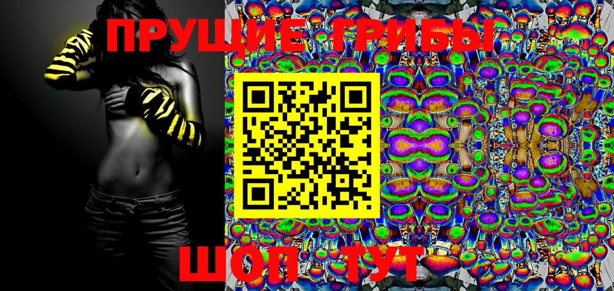 Торжок  Галлюциногенные грибы Magic Shrooms  Вход с VPN 